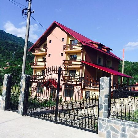 Pensiunea Cheile Argesului Capatineni-Paminteni Bagian luar foto